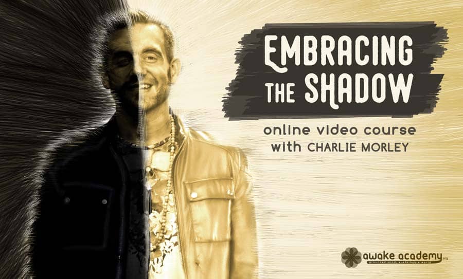Embracing the Shadow Charlie Morley