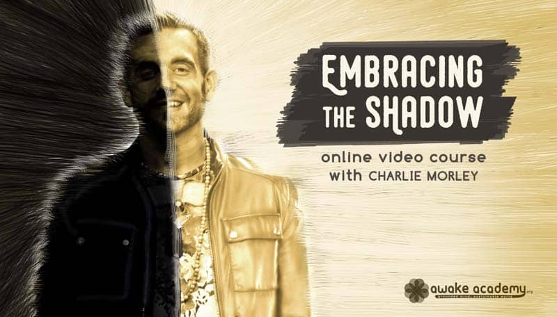 Embracing the Shadow Charlie Morley