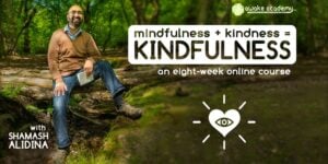 Mindfulness + Kindness = Kindfulness 8 Week Online Course